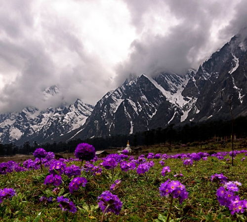 Breathtaking Sikkim