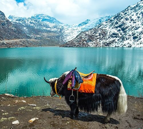 Darjeeling Gangtok Kalimpong