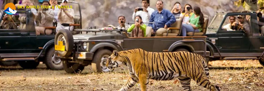 Chitwan National Park