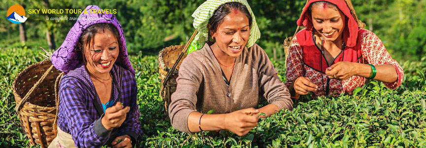 Culture of Darjeeling