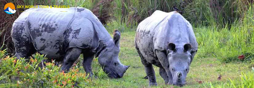 Jaldapara National Park